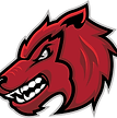 Georgetown High School Football opponent
